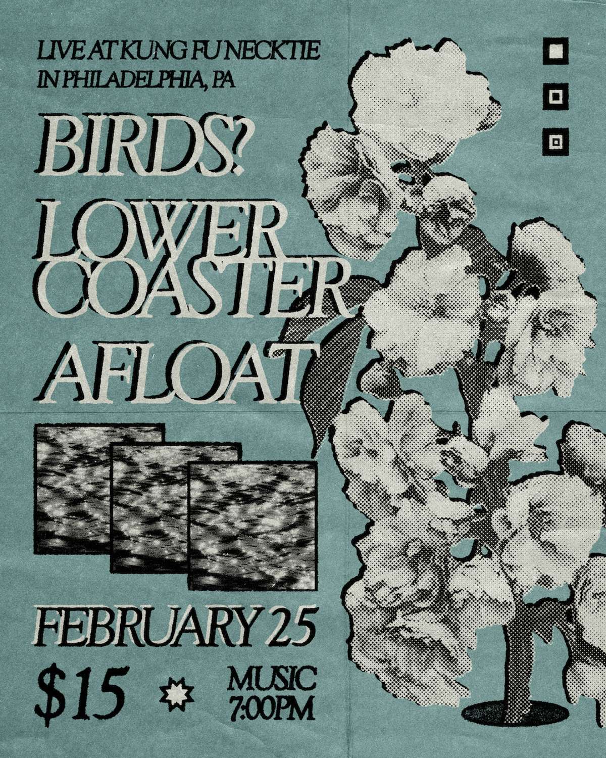 Birds? ~ Lower Coaster ~ Afloat